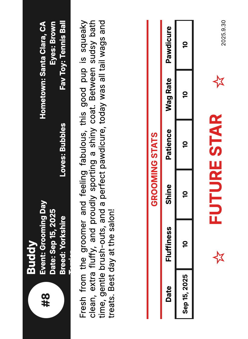 Custom Trading Card | "Memory"