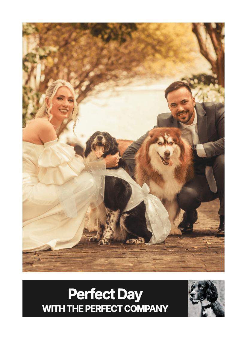 "Classic" - For Partner preview