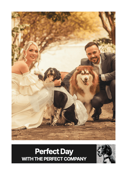 "Classic" - For Partner preview