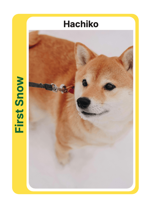 Custom Trading Card | "Timeless"