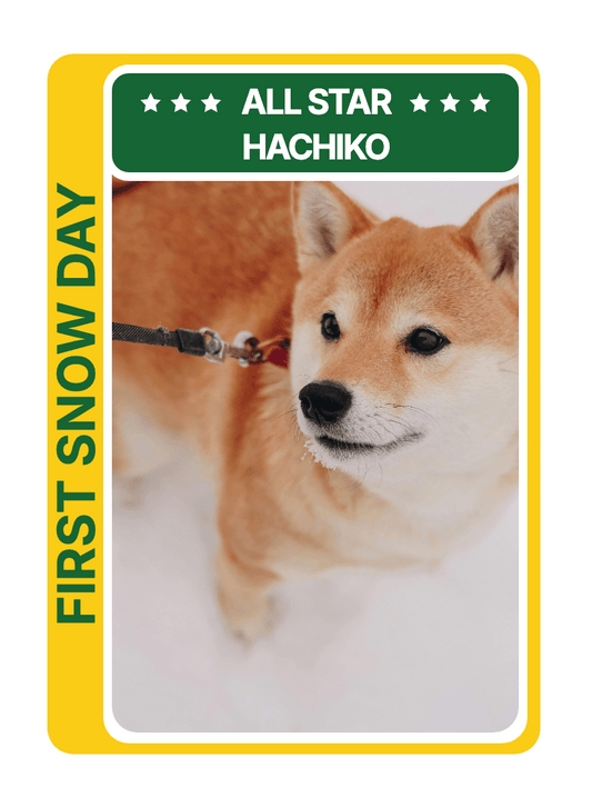 "Modern" - For Pet Lover preview