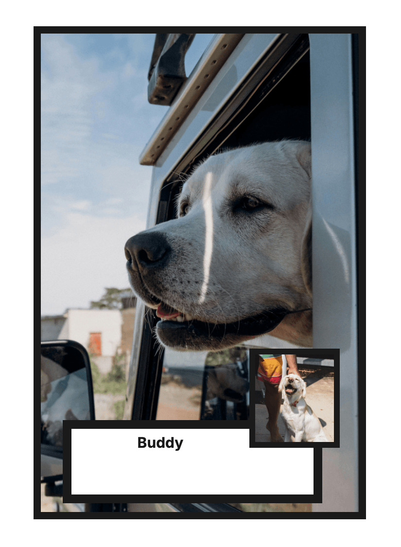 "Legacy" - For Pet Lover preview