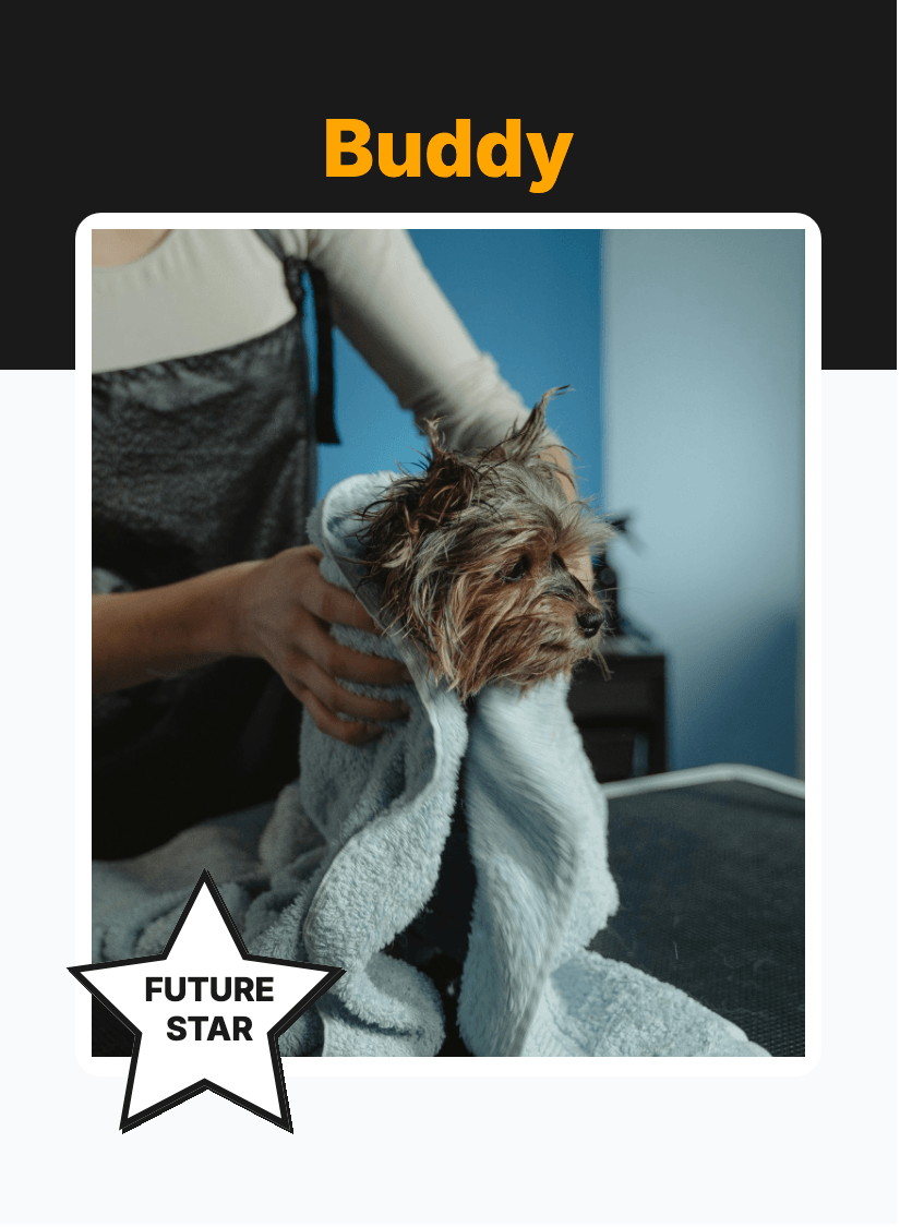 "Memory" - For Pet Lover preview