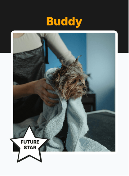 "Memory" - For Pet Lover preview