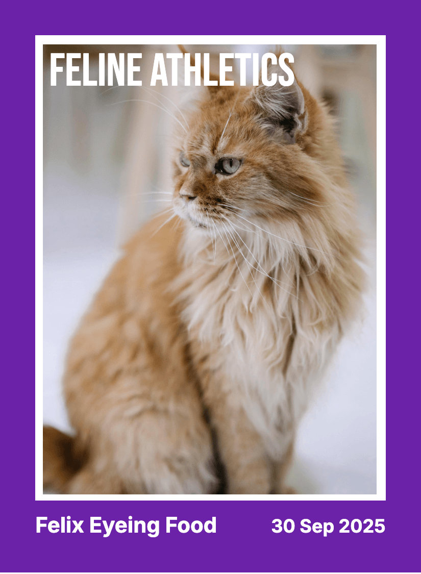 "Essential" - For Pet Lover preview