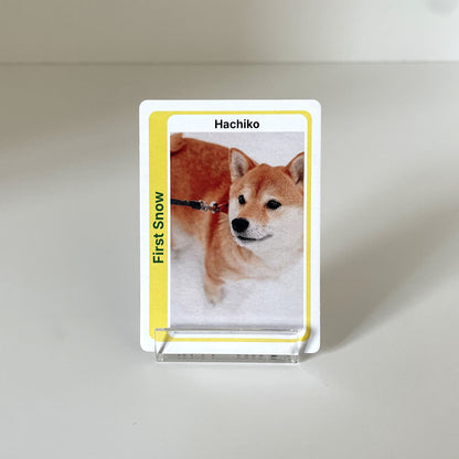 "All-Star" - For Pet Lover photo 2 #fp:018824a4e609ef62 #kind:real #var:SPORTS-003-front-dog