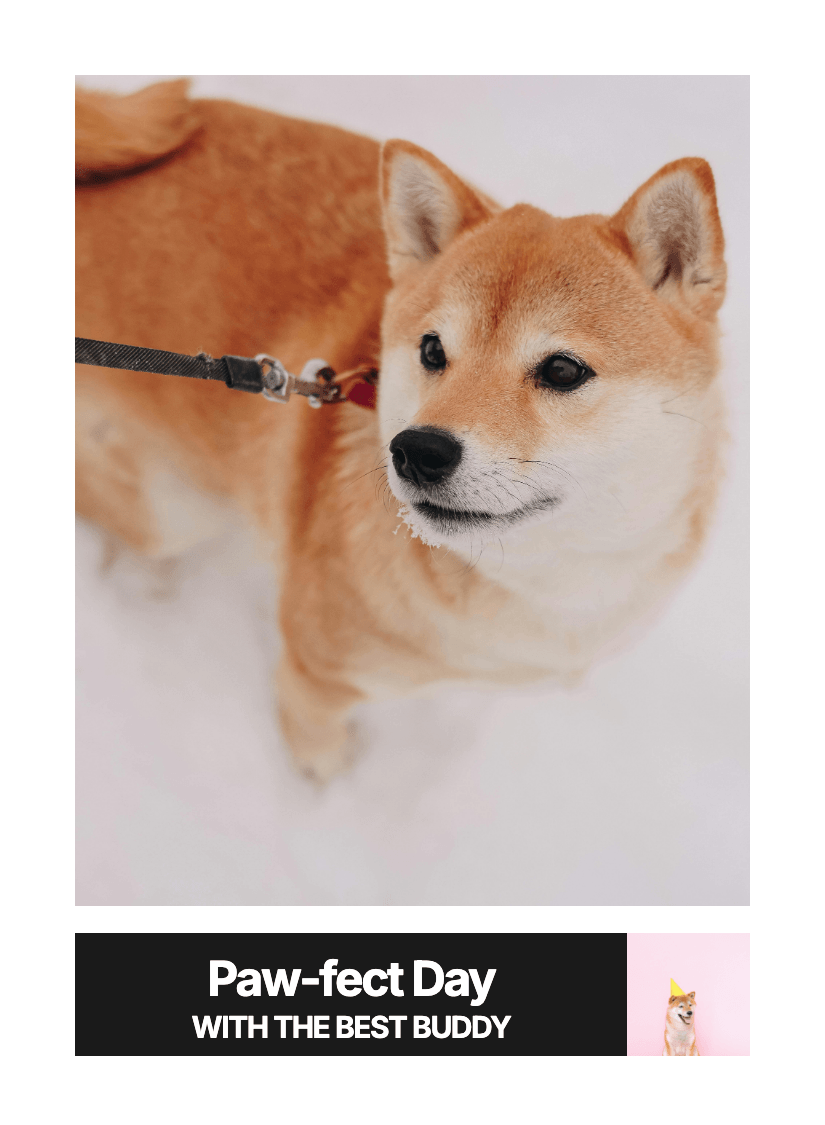 "Classic" - For Pet Lover preview