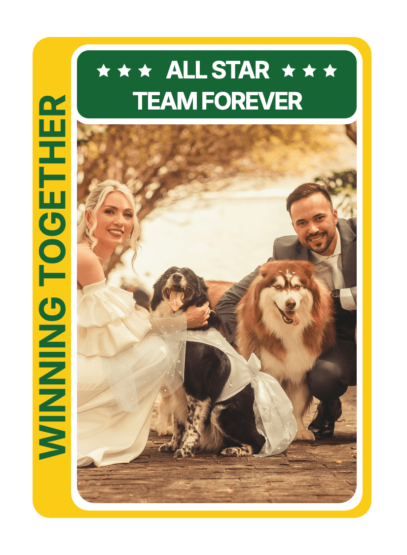 "Modern" - For Partner preview