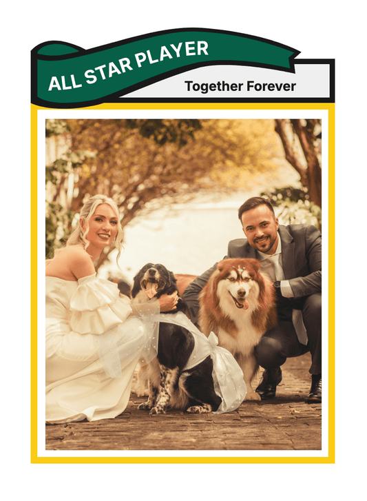 "Retro" - For Partner preview