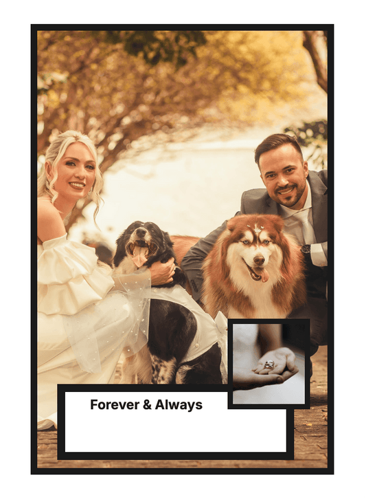 "Legacy" - For Partner preview