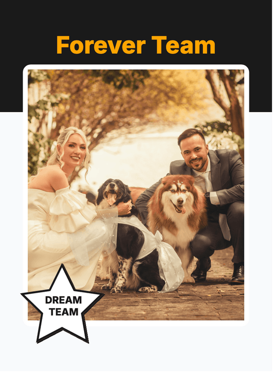 "Memory" - For Partner preview