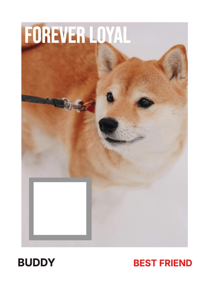 "Commemorate" (Left-Side) — 2-Card Bundle - For Pet Lover preview