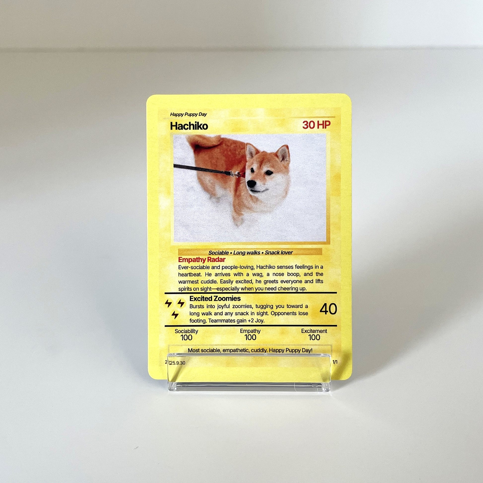 "Battle" (For Pet Lover) (Yellow) photo 1 #fp:077b5523dc8587de #kind:real #var:TCG-002-front-dog-yellow