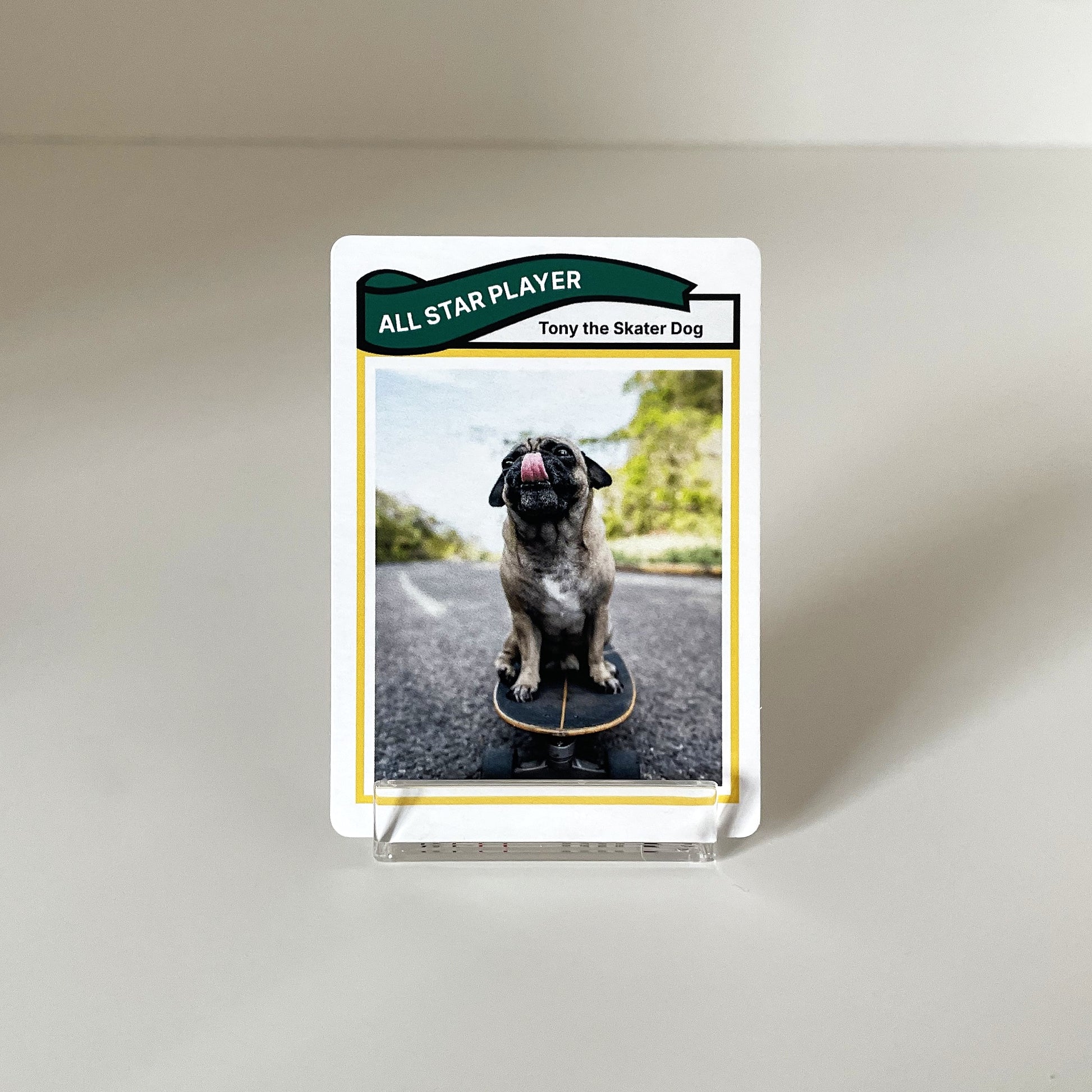 "Retro" - For Pet Lover photo 2 #fp:2a47dcffbeb39c54 #var:SPORTS-005-front-dog