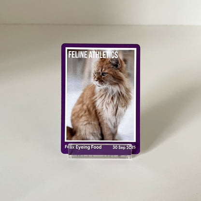 "Essential" - For Pet Lover photo 1 #fp:5cc267d750076361 #kind:real #var:SPORTS-008-front-cat