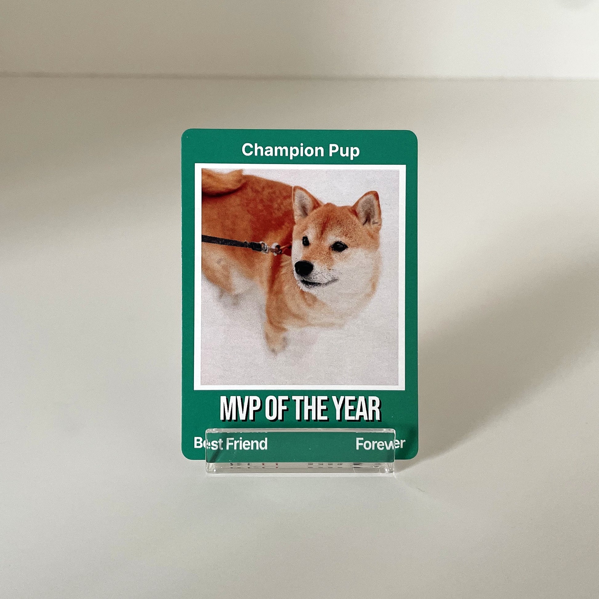 "Milestone" - For Pet Lover photo 2 #fp:6cdee41d9c43e454 #kind:real #var:SPORTS-002-front-dog