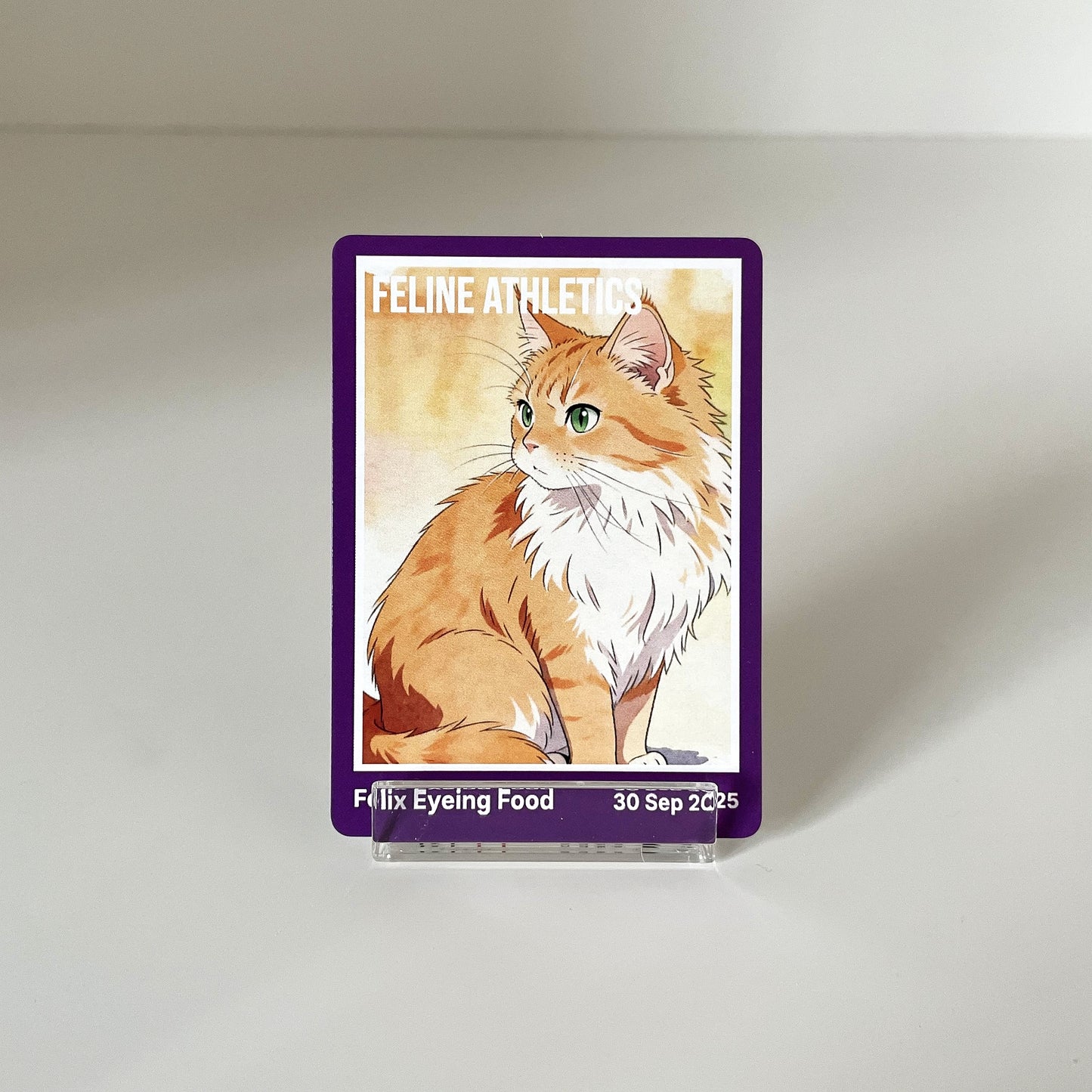 "Essential" - For Pet Lover photo 2 #fp:6e925f4f921b220c #kind:rendered #var:SPORTS-008-front-cat