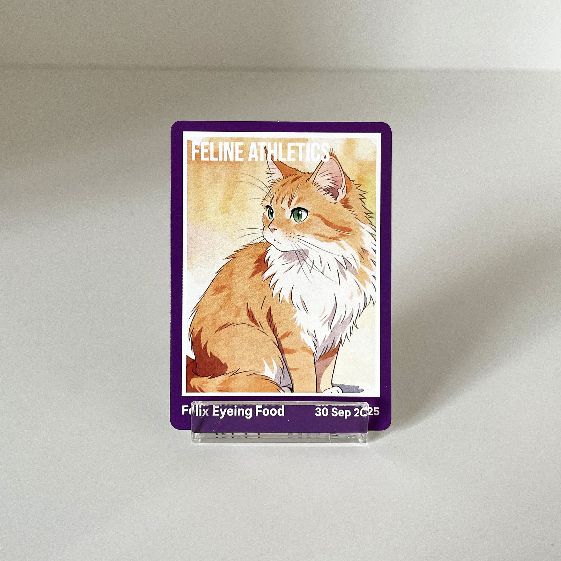"Essential" - For Pet Lover photo 2 #fp:6e925f4f921b220c #kind:rendered #var:SPORTS-008-front-cat