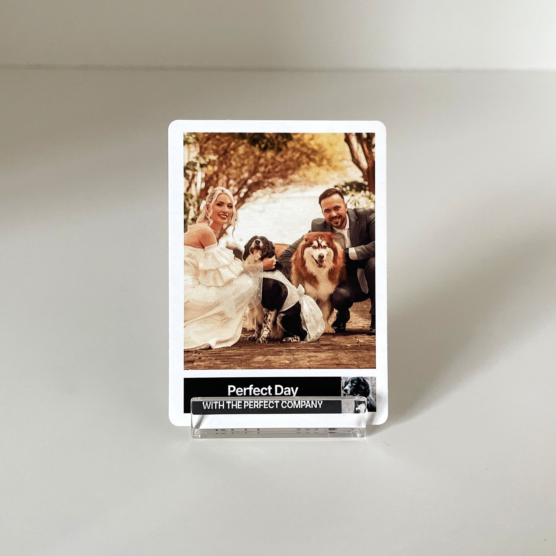"Classic" - For Partner photo 2 #fp:8e1b92ece260473a #kind:real #var:SPORTS-001-front-wedding
