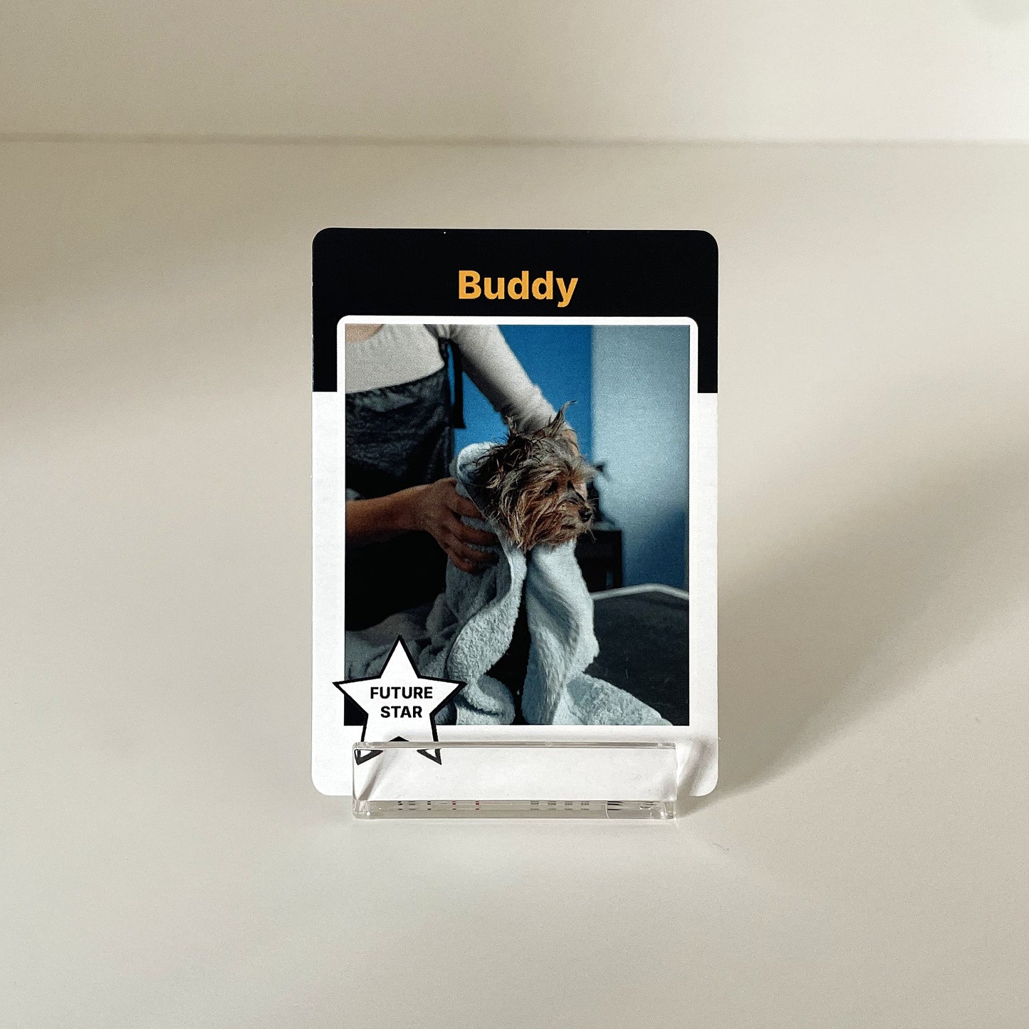 "Memory" - For Pet Lover photo 2 #fp:9dce8306efbf6508 #kind:real #var:SPORTS-007-front-dog