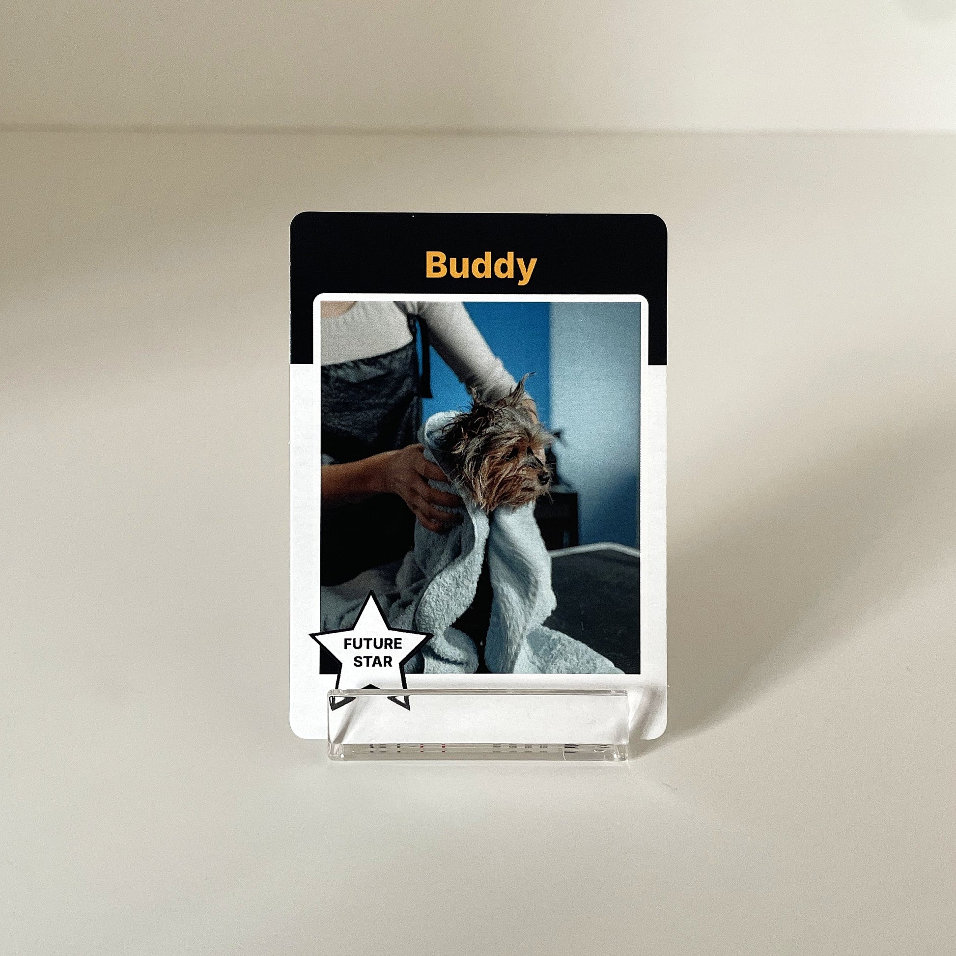 "Memory" - For Pet Lover photo 2 #fp:9dce8306efbf6508 #kind:real #var:SPORTS-007-front-dog