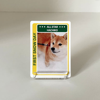 "Modern" - For Pet Lover photo 2 #fp:ff4cf7d2e379d6aa #kind:real #var:SPORTS-004-front-dog