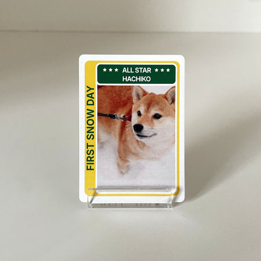 "Modern" - For Pet Lover photo 2 #fp:ff4cf7d2e379d6aa #kind:real #var:SPORTS-004-front-dog